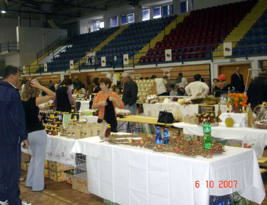 Gospic2007